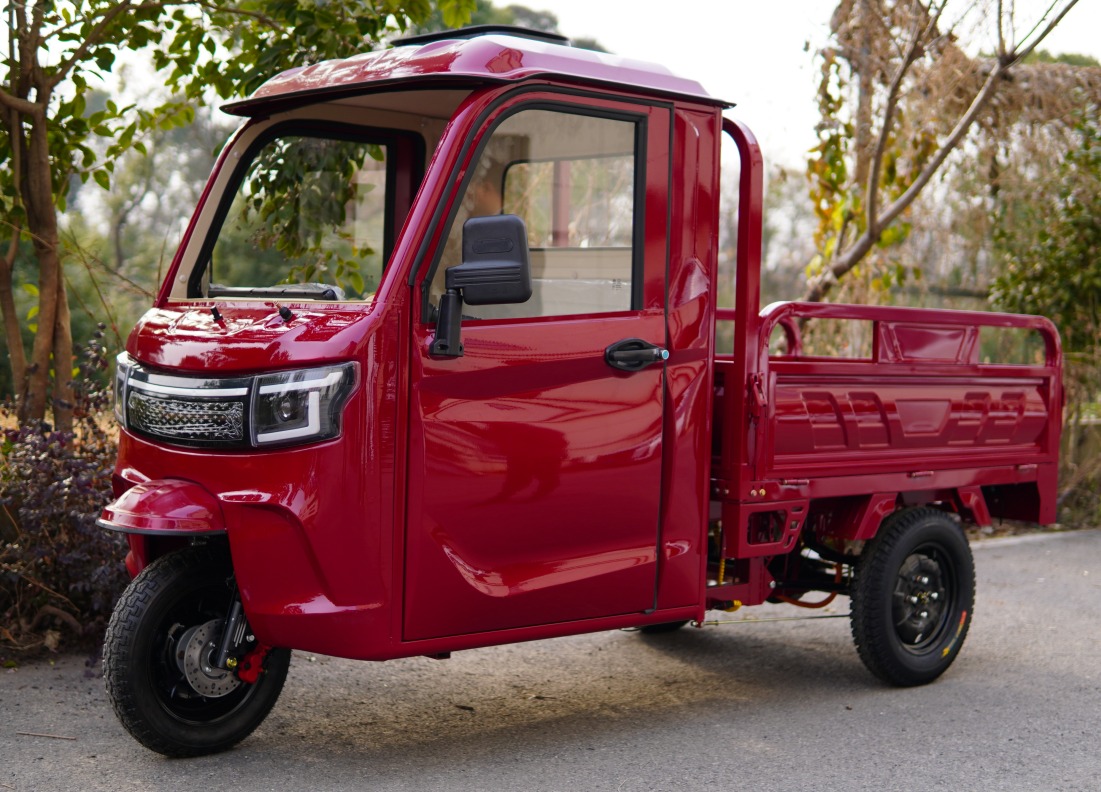 Mini-LKW  Cargo 01 – Bild 12